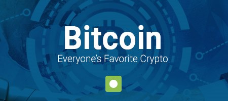 Bitcoin - Everyone's Favorite Crypto