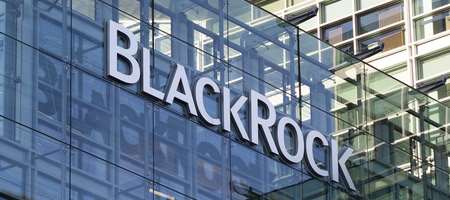 BlackRock: The coming of age of responsible investment