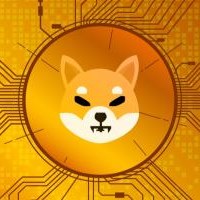 What Is Shiba Inu Coin?