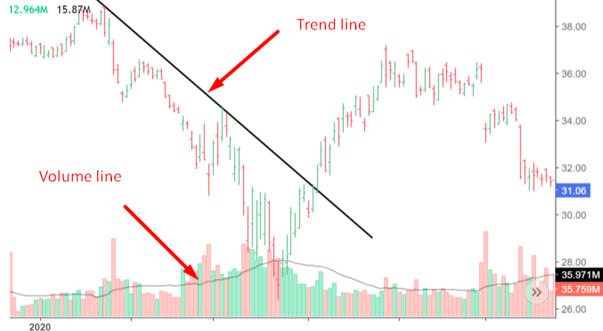 Pfizer stocks 1D TF