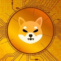 Shiba Inu: A Meme Coin's Journey Through Market Turbulence and Future Prospects