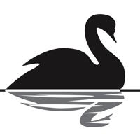 Black Swan Event: Definition And Examples
